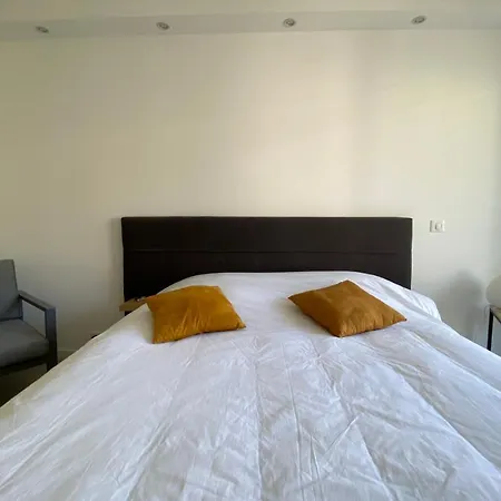 Exceptional Center Sea View And Swimming Pool Live In Parc Bruyere Cannes